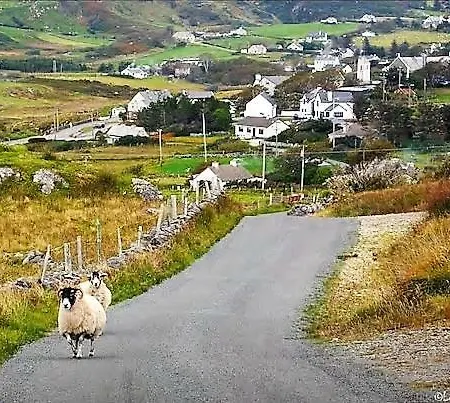 Golandubh Thatched *